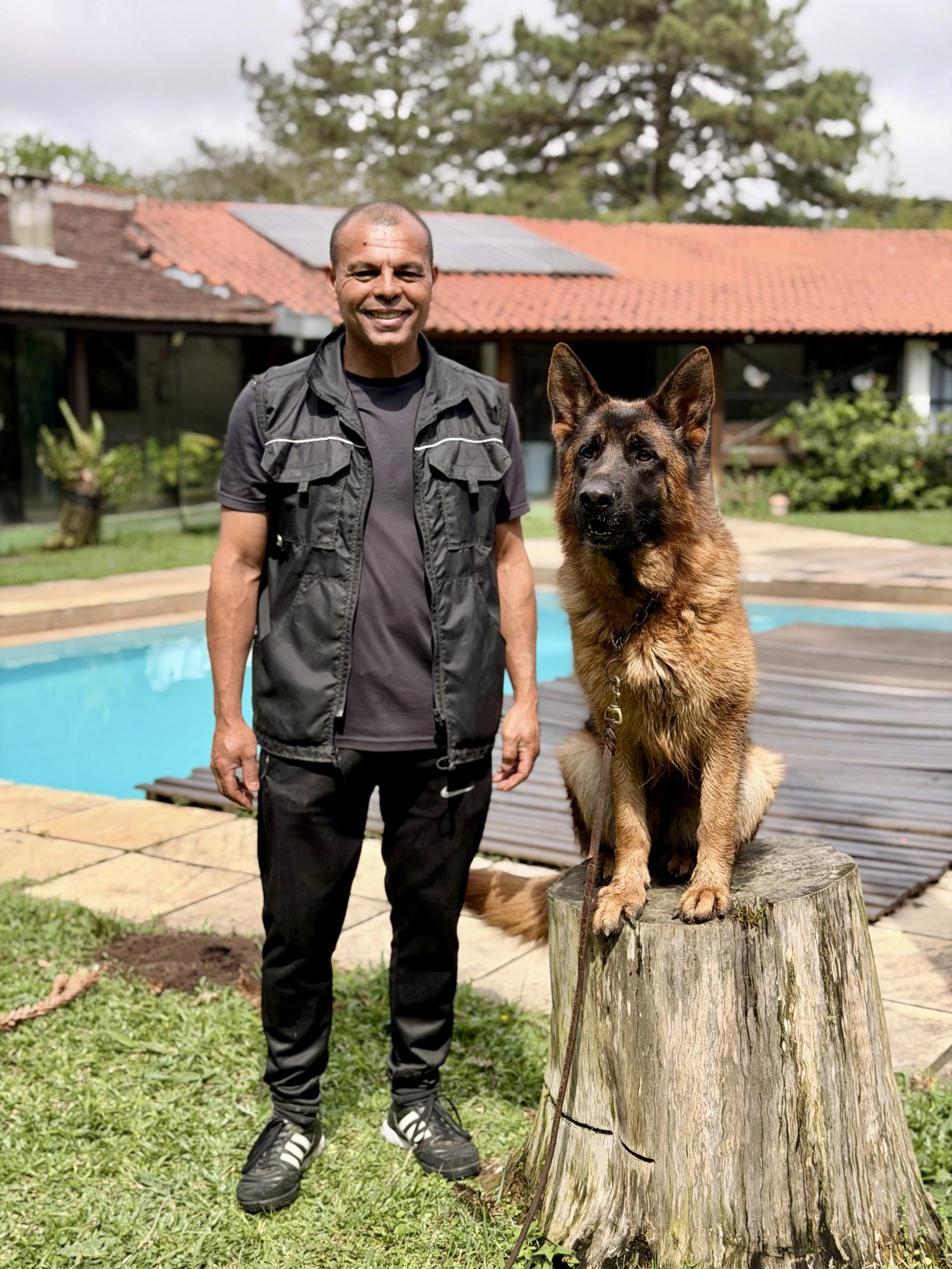 Pastor Alemão do Canil Von Haus Sotter em ampla área verde