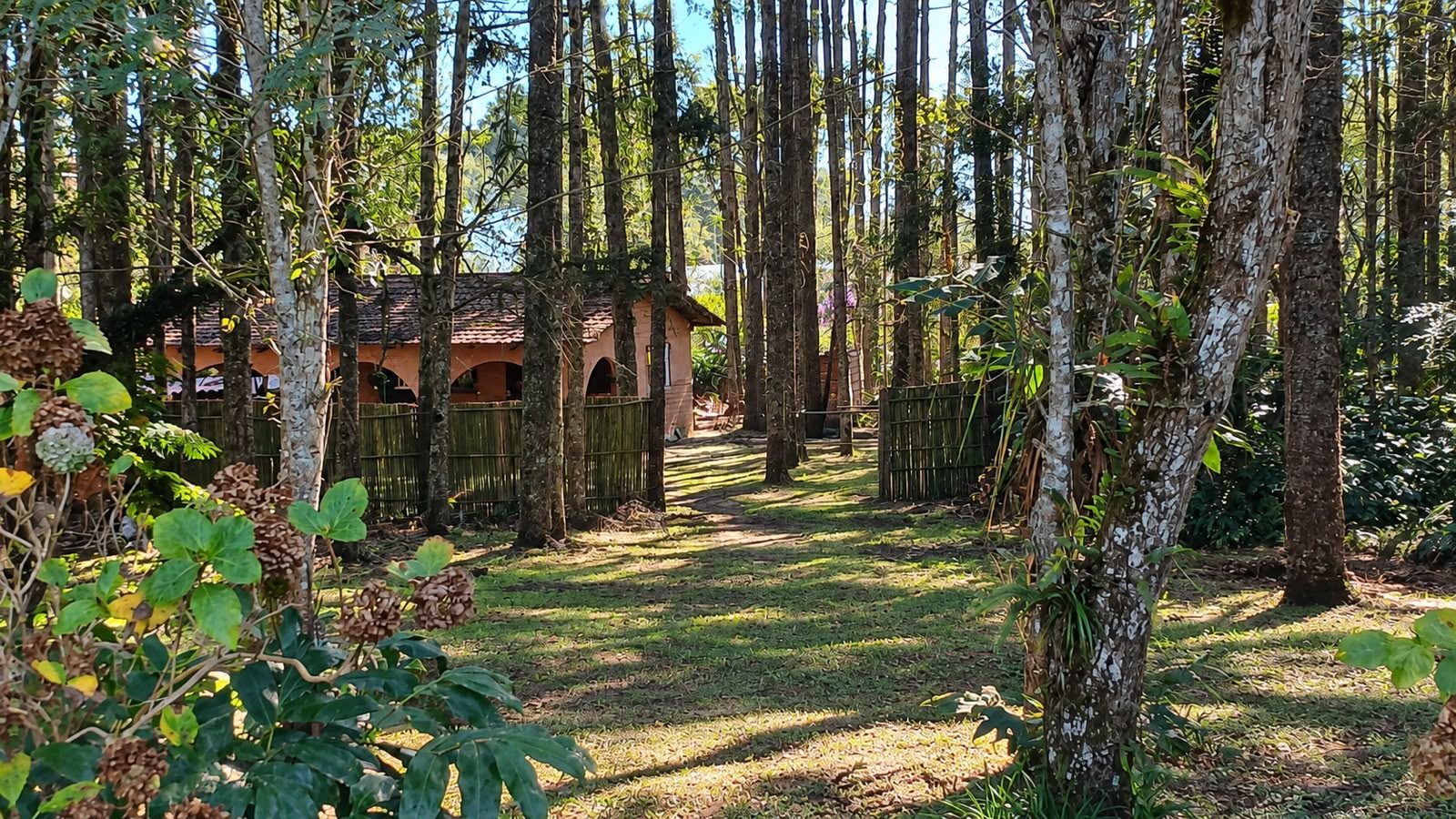 Área verde e piscina do Canil Von Haus Sotter