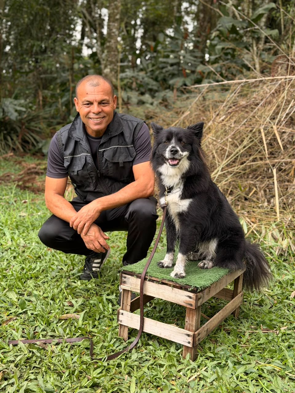 Adestramento de cão de todas as raças no Canil Von Haus Sotter
